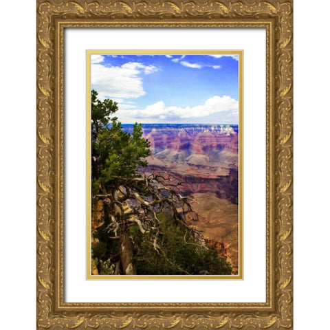 The Canyon Rim II Gold Ornate Wood Framed Art Print with Double Matting by Hausenflock, Alan
