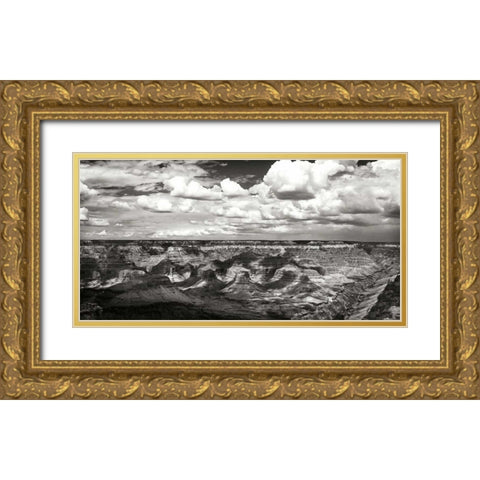 The Canyon Wall I Gold Ornate Wood Framed Art Print with Double Matting by Hausenflock, Alan
