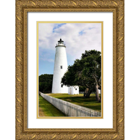 Okacroke Light I Gold Ornate Wood Framed Art Print with Double Matting by Hausenflock, Alan