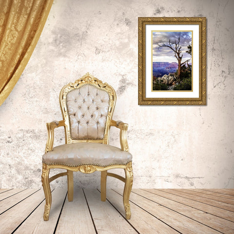 Evening on the Rim I Gold Ornate Wood Framed Art Print with Double Matting by Hausenflock, Alan