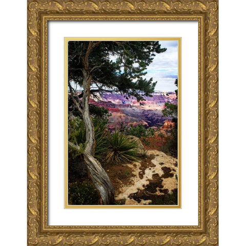 Eveing on the Rim II Gold Ornate Wood Framed Art Print with Double Matting by Hausenflock, Alan