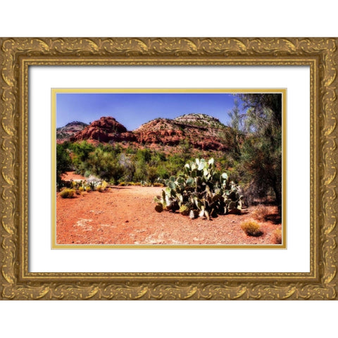 High Desert I Gold Ornate Wood Framed Art Print with Double Matting by Hausenflock, Alan