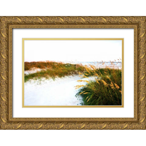 Sullen Sky II Gold Ornate Wood Framed Art Print with Double Matting by Hausenflock, Alan