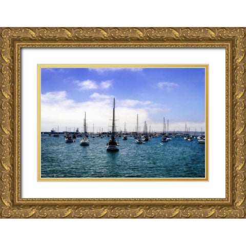 San Diego Que III Gold Ornate Wood Framed Art Print with Double Matting by Hausenflock, Alan
