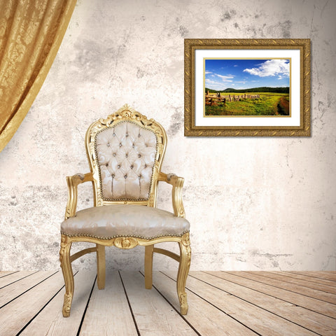 Big Sky Ranch I Gold Ornate Wood Framed Art Print with Double Matting by Hausenflock, Alan