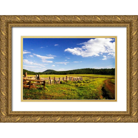 Big Sky Ranch I Gold Ornate Wood Framed Art Print with Double Matting by Hausenflock, Alan