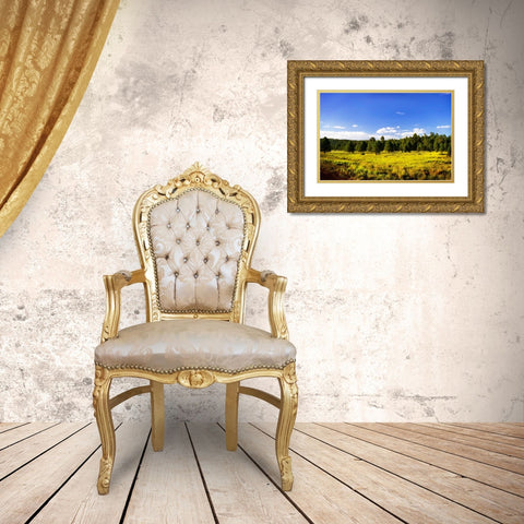 Big Sky Ranch II Gold Ornate Wood Framed Art Print with Double Matting by Hausenflock, Alan