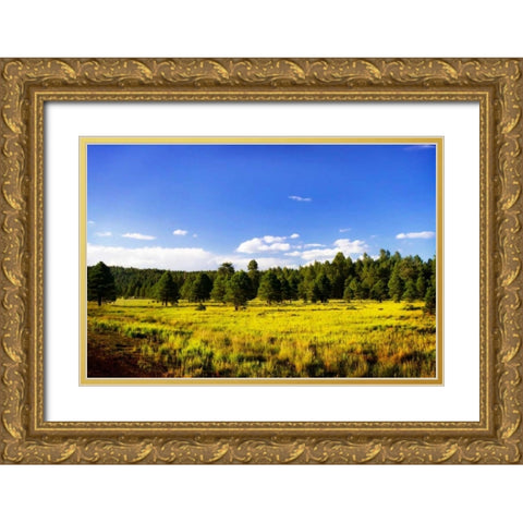 Big Sky Ranch II Gold Ornate Wood Framed Art Print with Double Matting by Hausenflock, Alan
