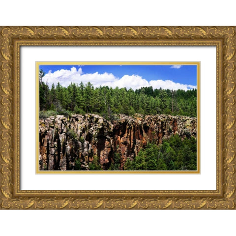 Bones of the Earth Gold Ornate Wood Framed Art Print with Double Matting by Hausenflock, Alan