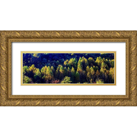Autumn Ridge I Gold Ornate Wood Framed Art Print with Double Matting by Hausenflock, Alan