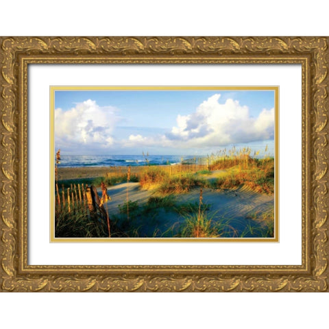 Dunes II Gold Ornate Wood Framed Art Print with Double Matting by Hausenflock, Alan