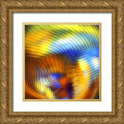 Mix It Up I Gold Ornate Wood Framed Art Print with Double Matting by Hausenflock, Alan