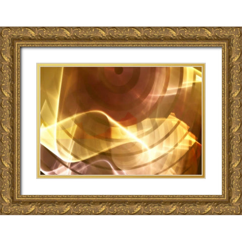 Bullseye Gold Ornate Wood Framed Art Print with Double Matting by Hausenflock, Alan