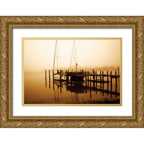 Stella Gold Ornate Wood Framed Art Print with Double Matting by Hausenflock, Alan