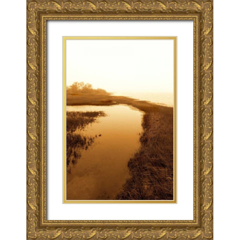 Harkers Island Marsh II Gold Ornate Wood Framed Art Print with Double Matting by Hausenflock, Alan