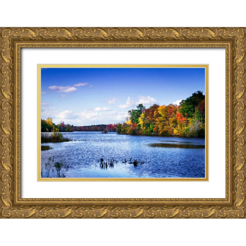 Wind on the Lake Gold Ornate Wood Framed Art Print with Double Matting by Hausenflock, Alan
