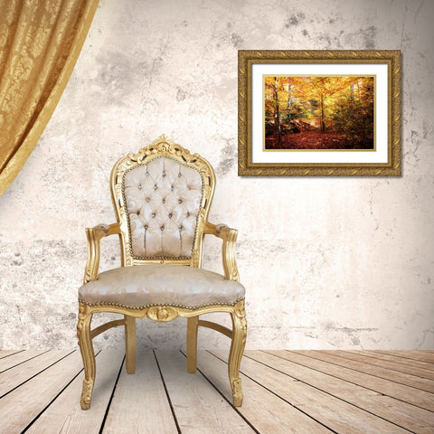 Beaver Creek Bridge Gold Ornate Wood Framed Art Print with Double Matting by Hausenflock, Alan