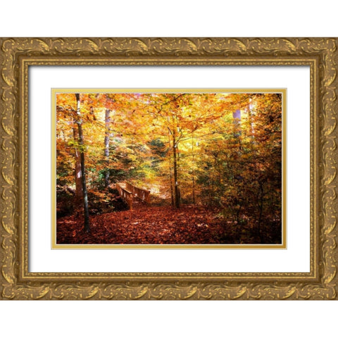 Beaver Creek Bridge Gold Ornate Wood Framed Art Print with Double Matting by Hausenflock, Alan