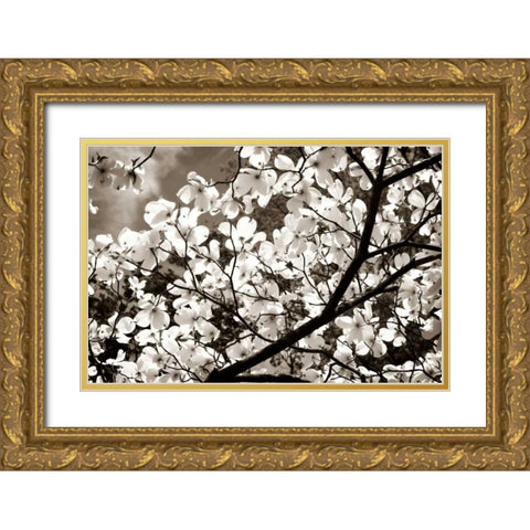 Blossoms II Gold Ornate Wood Framed Art Print with Double Matting by Hausenflock, Alan