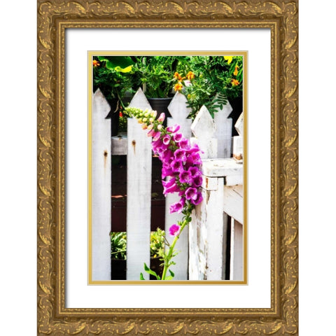 Foxglove on a Fence Gold Ornate Wood Framed Art Print with Double Matting by Hausenflock, Alan