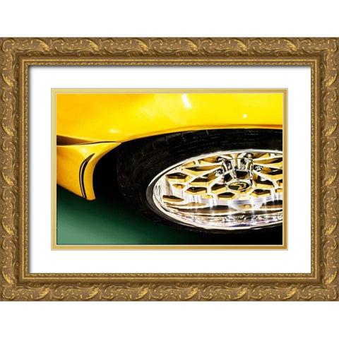 Firebird Gold Ornate Wood Framed Art Print with Double Matting by Hausenflock, Alan