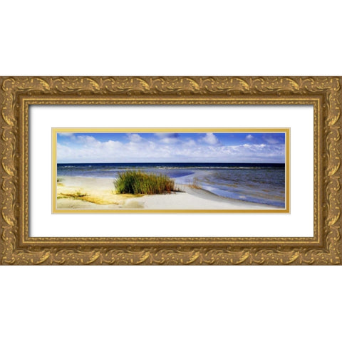 Cedar Island Beach I Gold Ornate Wood Framed Art Print with Double Matting by Hausenflock, Alan