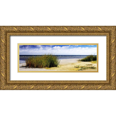 Cedar Island Bay II Gold Ornate Wood Framed Art Print with Double Matting by Hausenflock, Alan