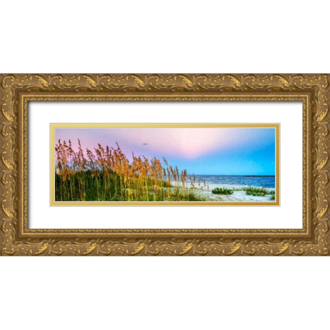 Days End II Gold Ornate Wood Framed Art Print with Double Matting by Hausenflock, Alan