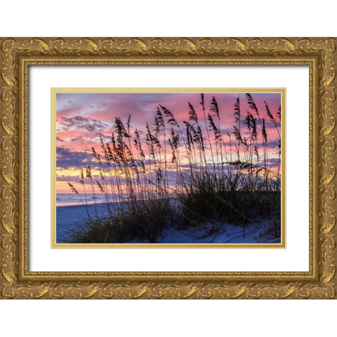 Ragged Sunrise IV Gold Ornate Wood Framed Art Print with Double Matting by Hausenflock, Alan