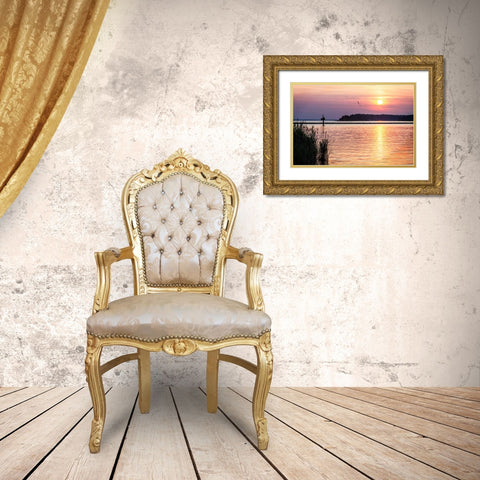 Ospreys at Sunset Gold Ornate Wood Framed Art Print with Double Matting by Hausenflock, Alan