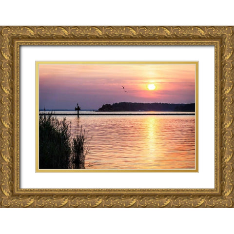 Ospreys at Sunset Gold Ornate Wood Framed Art Print with Double Matting by Hausenflock, Alan