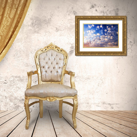Waking Clouds I Gold Ornate Wood Framed Art Print with Double Matting by Hausenflock, Alan