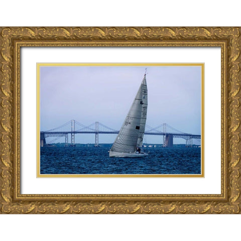 Sailing At Dusk II Gold Ornate Wood Framed Art Print with Double Matting by Hausenflock, Alan
