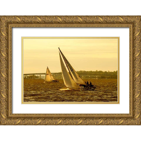 Severn River Sailing II Gold Ornate Wood Framed Art Print with Double Matting by Hausenflock, Alan