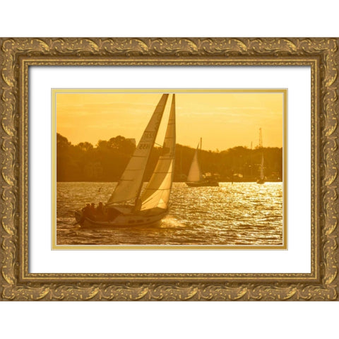 Windward Sunset I Gold Ornate Wood Framed Art Print with Double Matting by Hausenflock, Alan