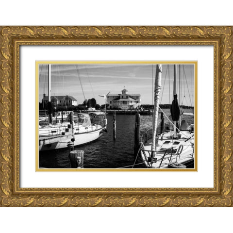 Oxford On The Bay Gold Ornate Wood Framed Art Print with Double Matting by Hausenflock, Alan