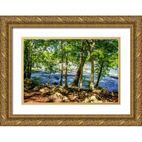 Spring On The River I Gold Ornate Wood Framed Art Print with Double Matting by Hausenflock, Alan