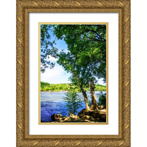 Spring On The River III Gold Ornate Wood Framed Art Print with Double Matting by Hausenflock, Alan