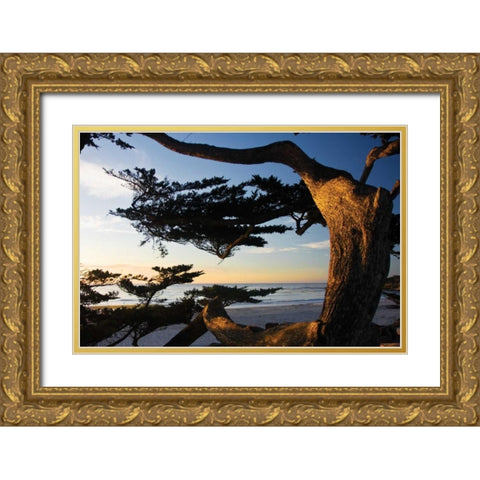 Carmel Sunset II Gold Ornate Wood Framed Art Print with Double Matting by Hausenflock, Alan