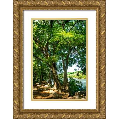 Spring On The River IV Gold Ornate Wood Framed Art Print with Double Matting by Hausenflock, Alan