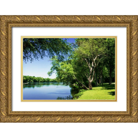 Spring On The River V Gold Ornate Wood Framed Art Print with Double Matting by Hausenflock, Alan