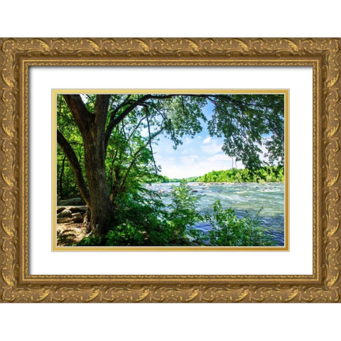Spring On The River VII Gold Ornate Wood Framed Art Print with Double Matting by Hausenflock, Alan