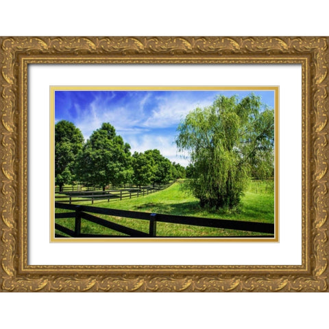 Green Springs Farm II Gold Ornate Wood Framed Art Print with Double Matting by Hausenflock, Alan