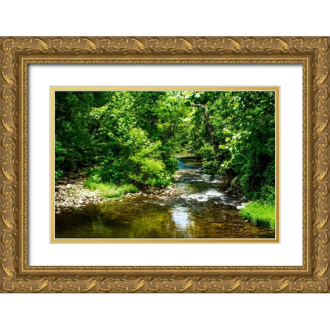 Small Mountain Stream I Gold Ornate Wood Framed Art Print with Double Matting by Hausenflock, Alan
