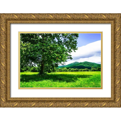 Rappahannock County II Gold Ornate Wood Framed Art Print with Double Matting by Hausenflock, Alan