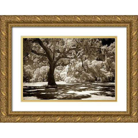 Ancient Sentinel Gold Ornate Wood Framed Art Print with Double Matting by Hausenflock, Alan