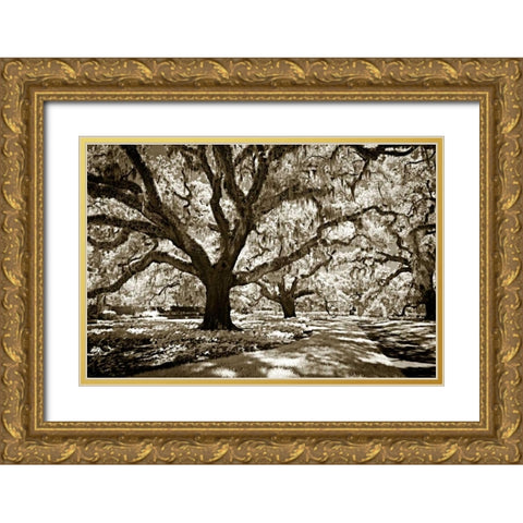 Plantation Walk I Gold Ornate Wood Framed Art Print with Double Matting by Hausenflock, Alan