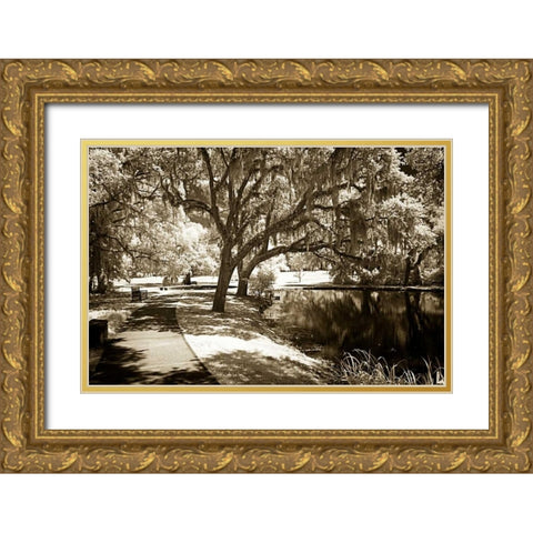 Walkers Pond I Gold Ornate Wood Framed Art Print with Double Matting by Hausenflock, Alan