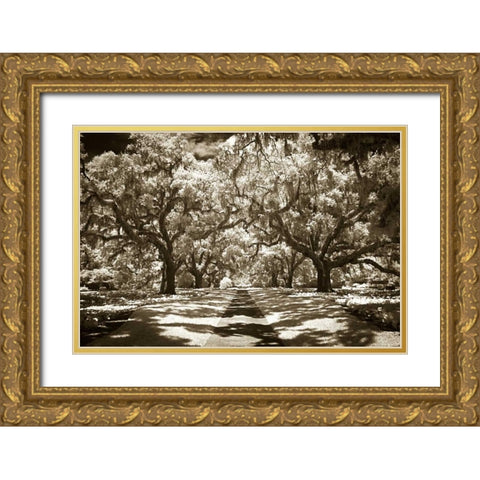 Plantation Walk II Gold Ornate Wood Framed Art Print with Double Matting by Hausenflock, Alan