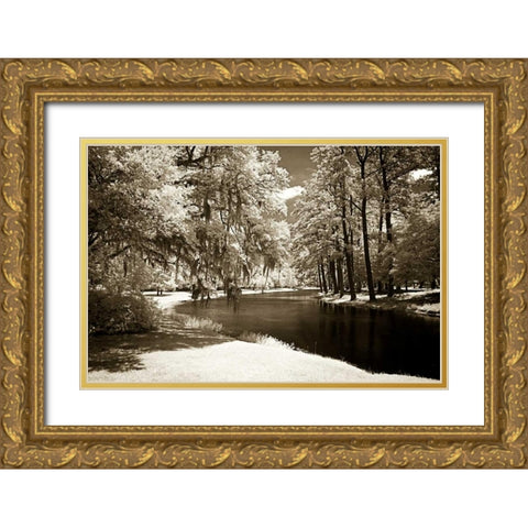 Pines Along The Stream Gold Ornate Wood Framed Art Print with Double Matting by Hausenflock, Alan
